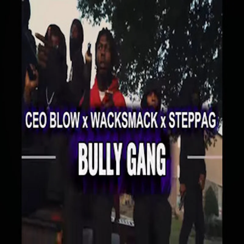 Bully Gang (feat. CEO Blow & WackSmack)