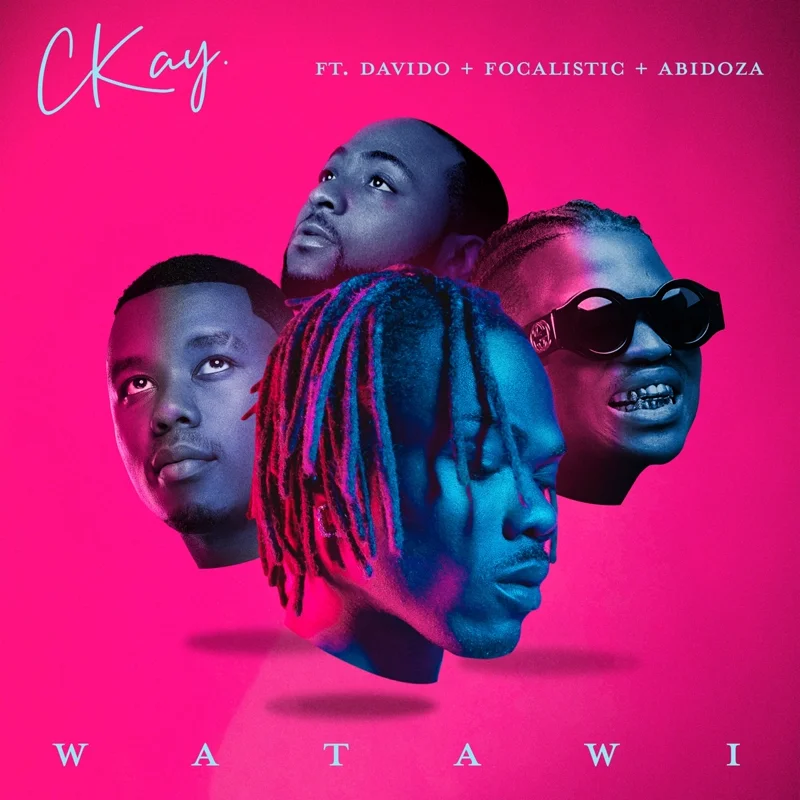 WATAWI - Feat. Davido, Focalistic & Abidoza