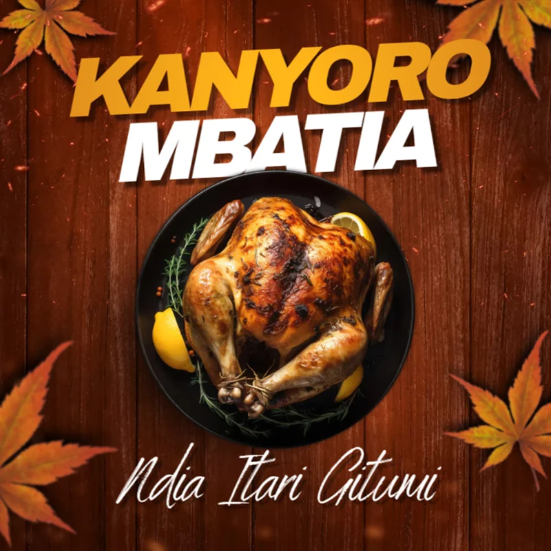 Ndia Itari Gitumi