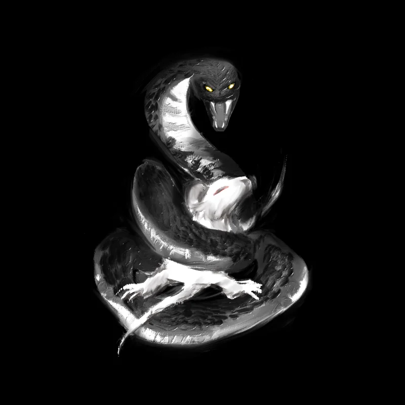 Chaos
