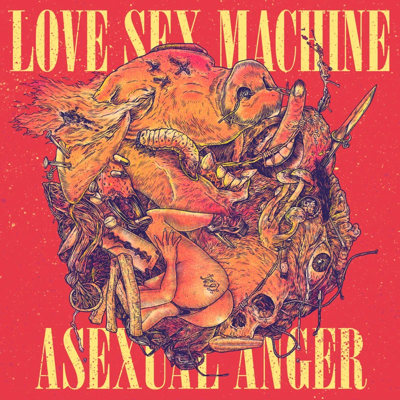 Asexual Anger