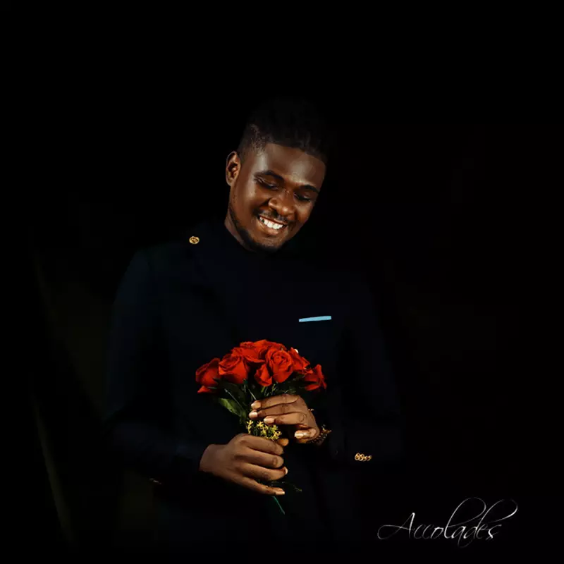 Accolades