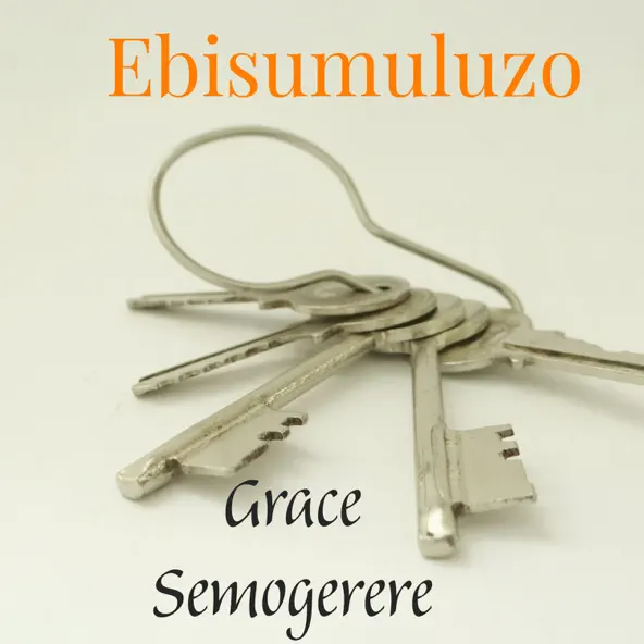 Ebisumuluzo