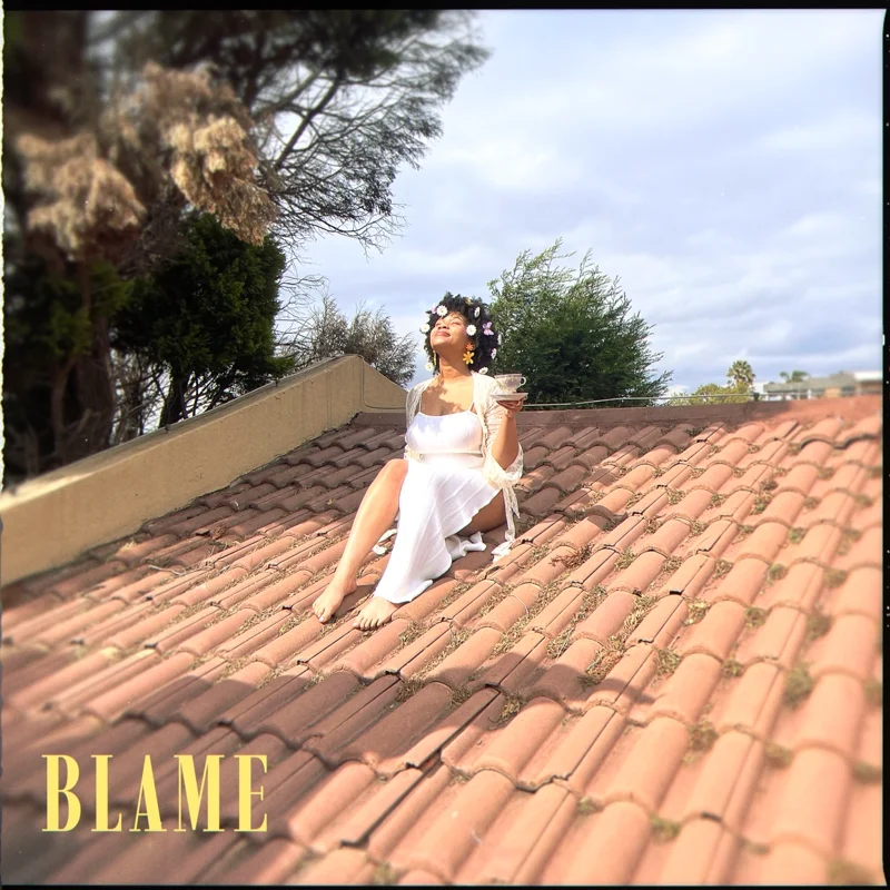 Blame