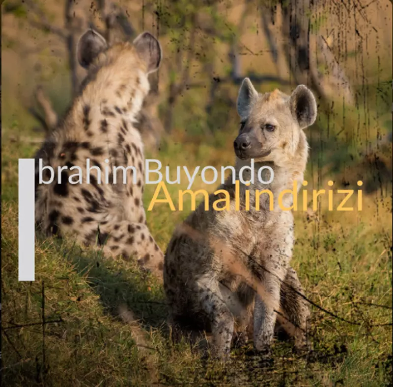 Amalindirizi