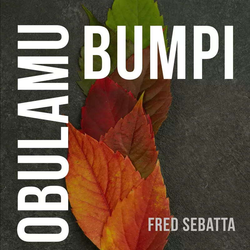 Obulamu Bumpi