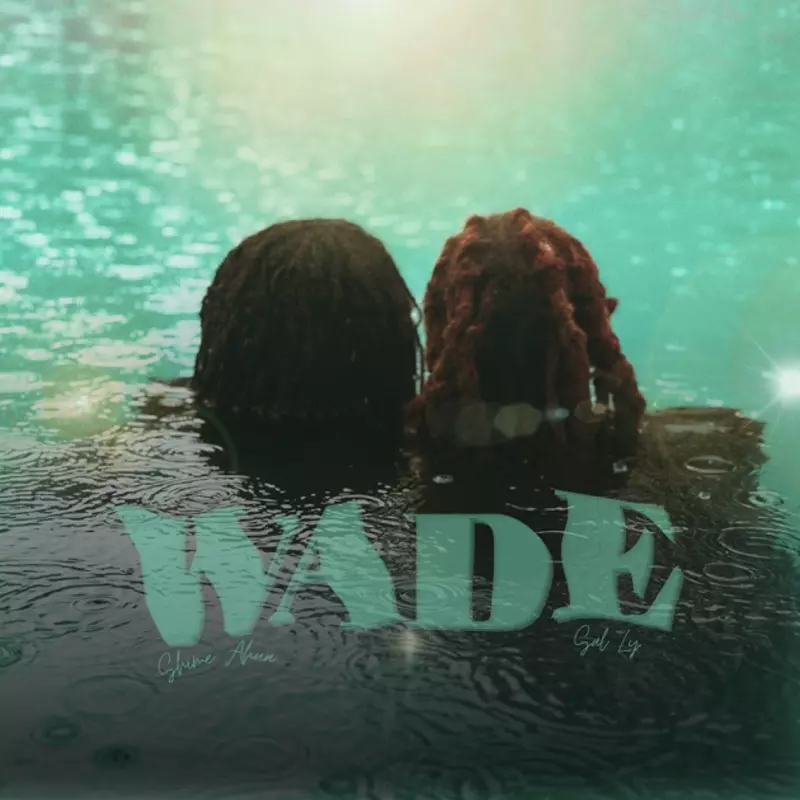 Wade