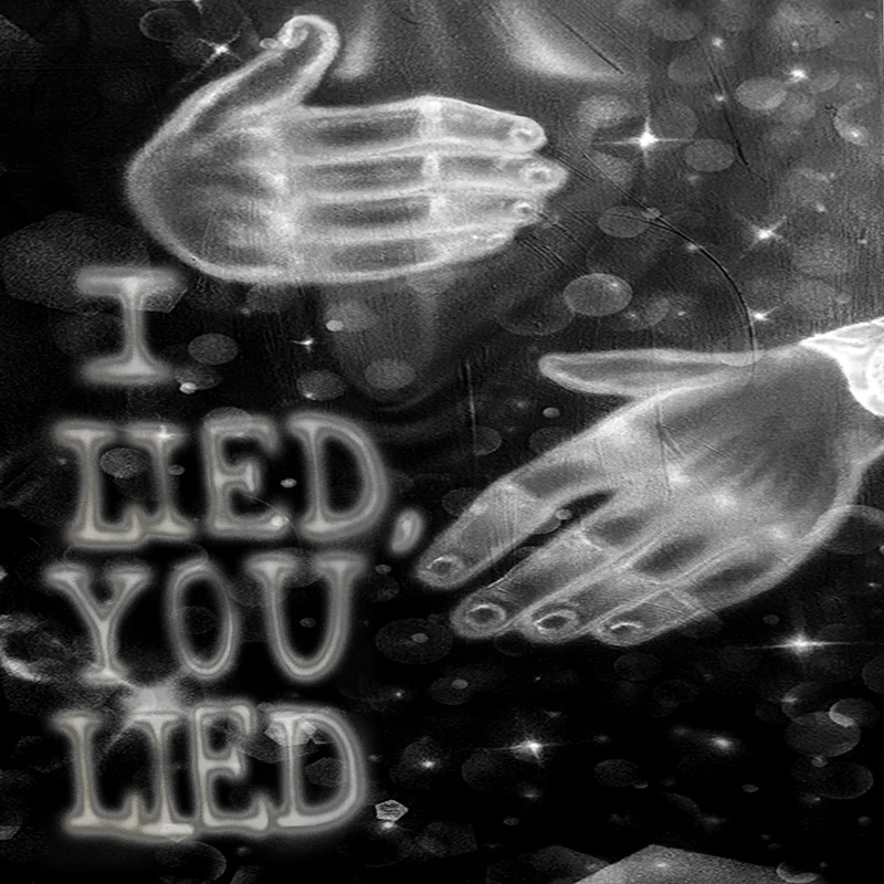 I Lied, You Lied
