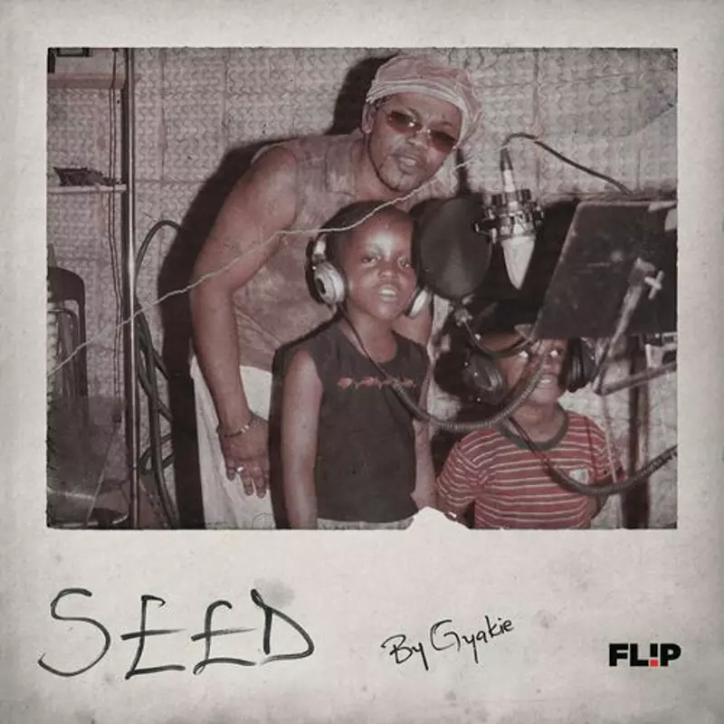 Seed