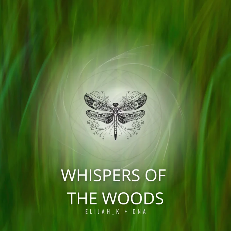 Whispers Of The Woods