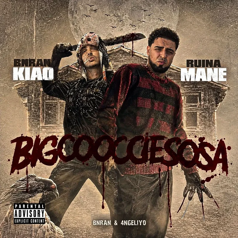 BIGCOOCCIESOSA