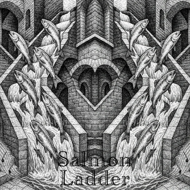 Salmon Ladder