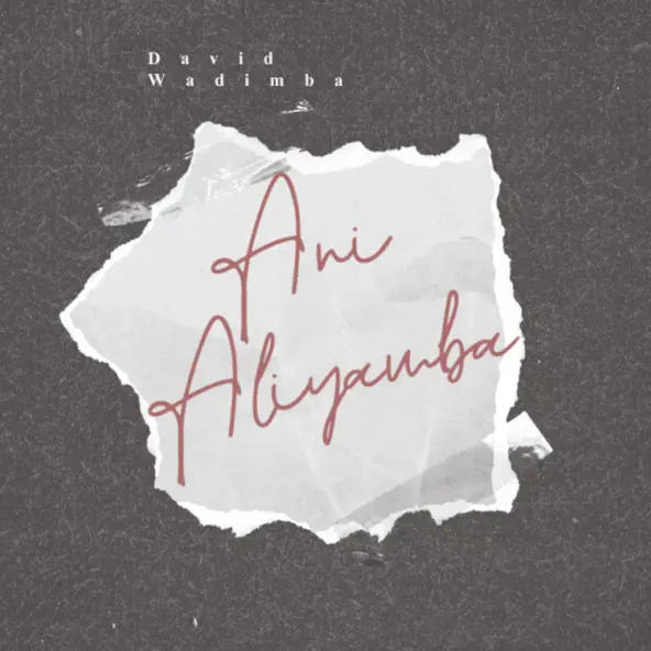 Ani Aliyamba