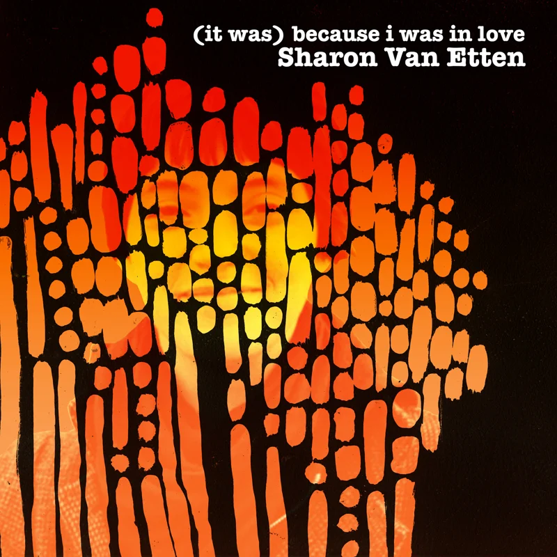 (It Was) Because I Was in Love (Deluxe Reissue)