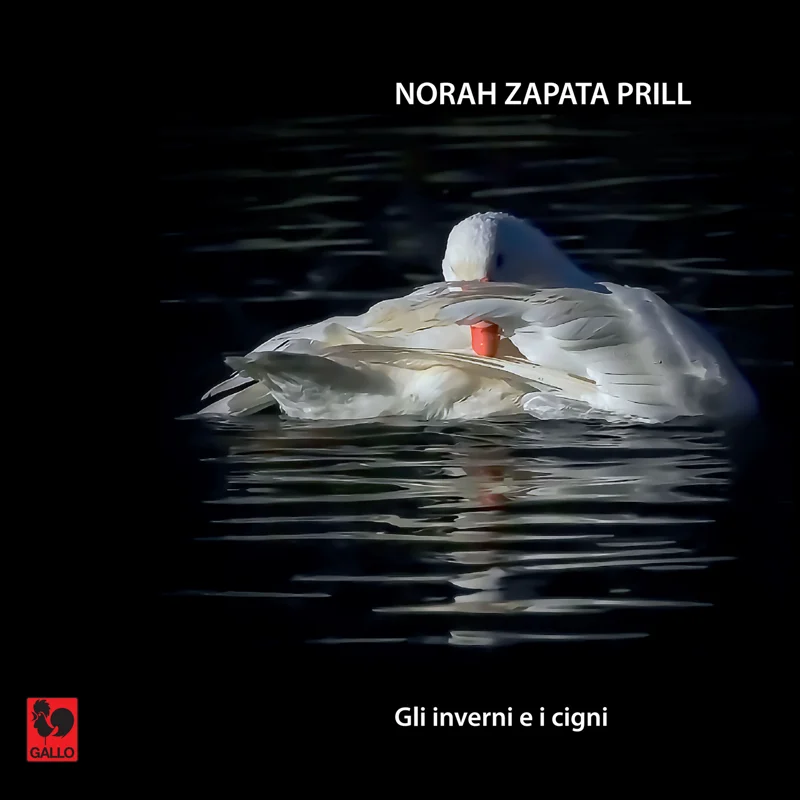 Norah Zapata Prill: Gli inverni e i cigni