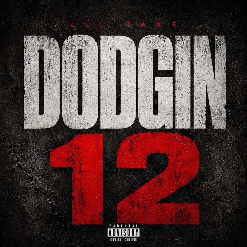 Dodgin 12
