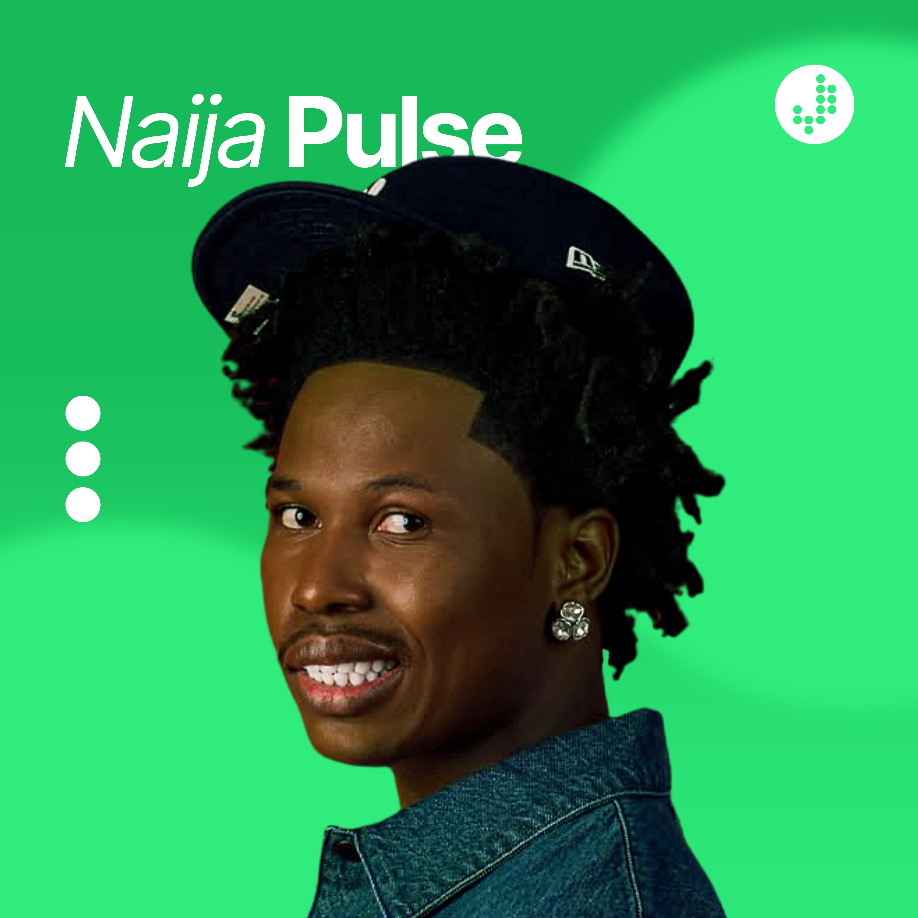 Naija Pulse