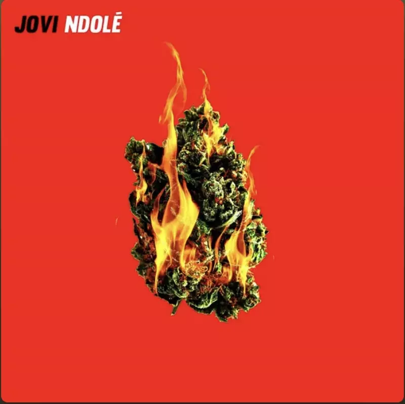 Ndolé