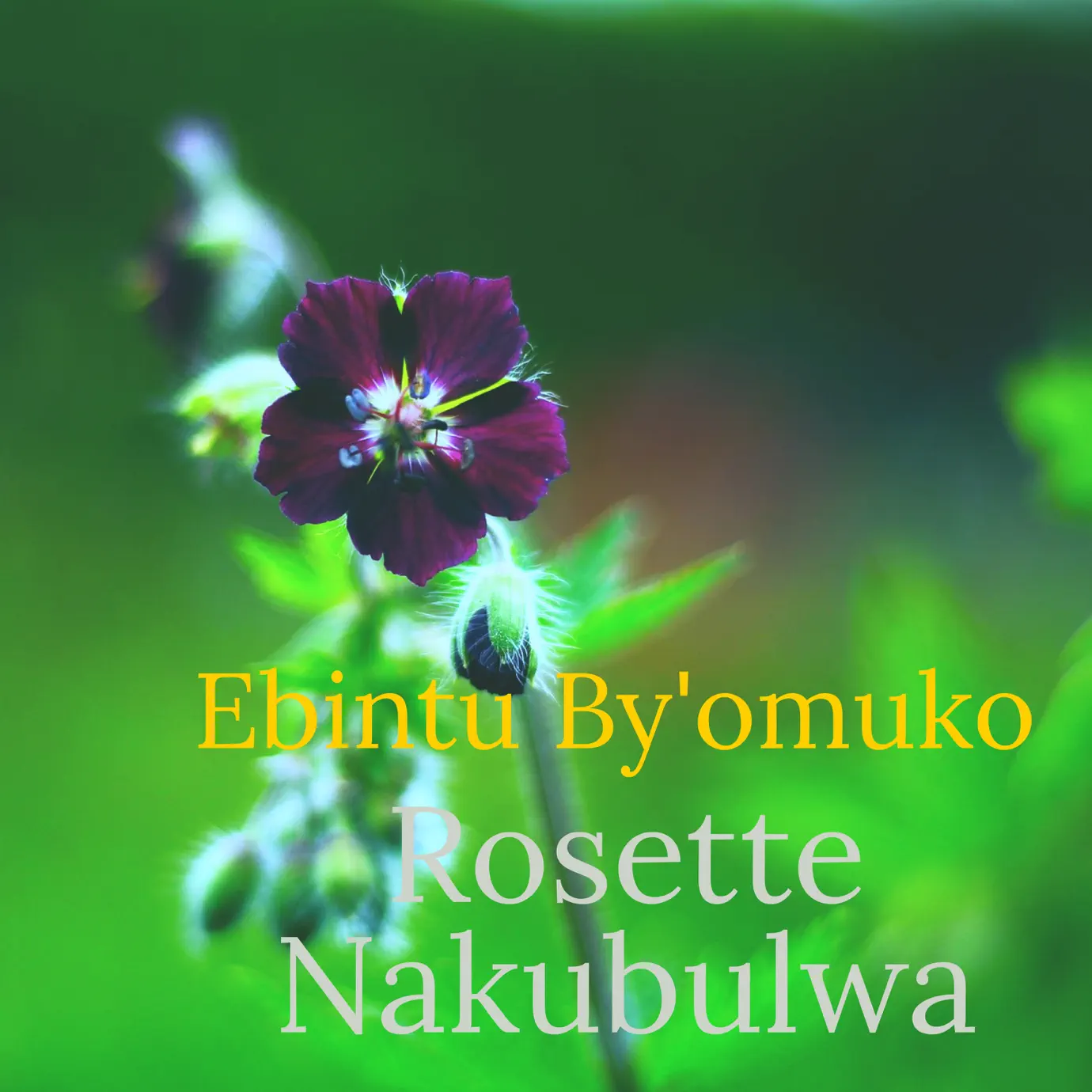 EBINTU BY'OMUKO