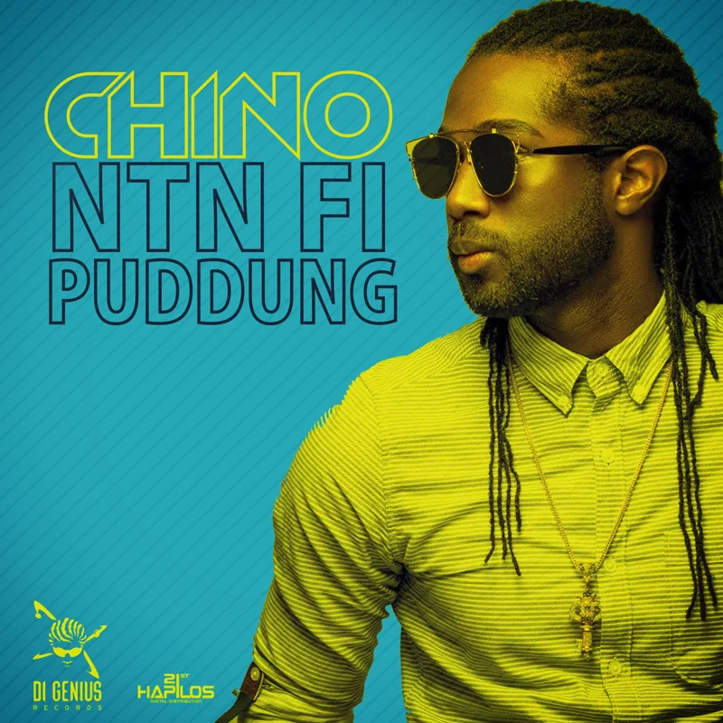 Ntn Fi Puddung