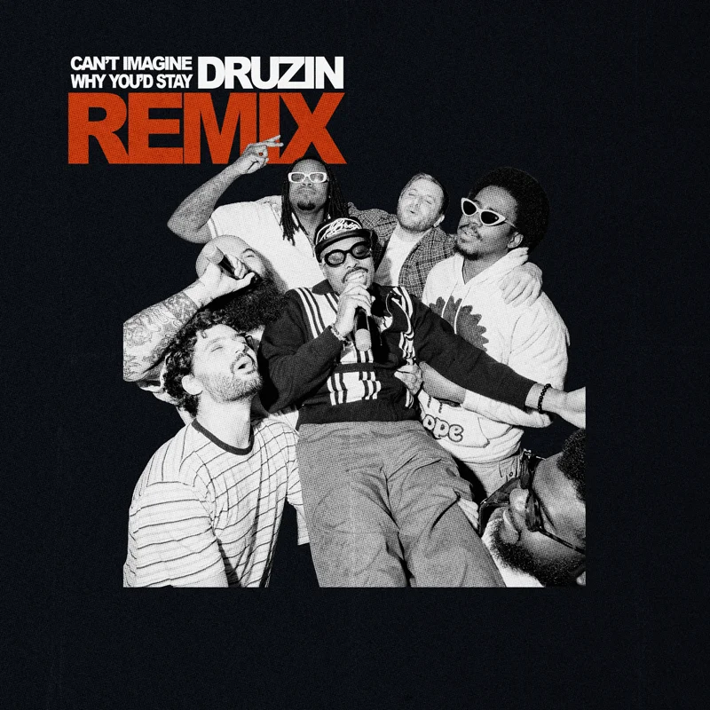 Can't Imagine Why You'd Stay (Druzin Remix)