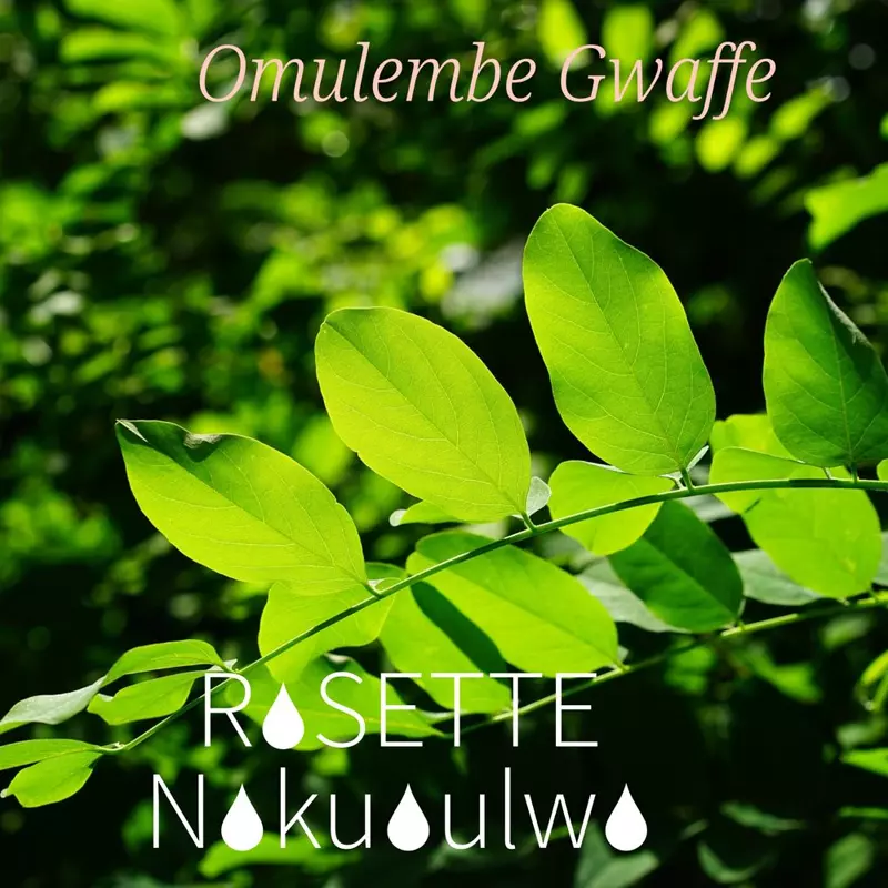 Omulembe Gwaffe
