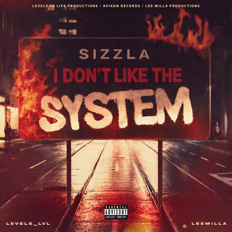 I Don't Like The System