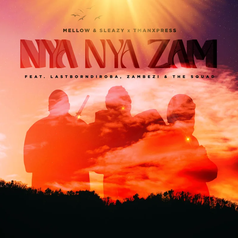 Nya Nya Zam