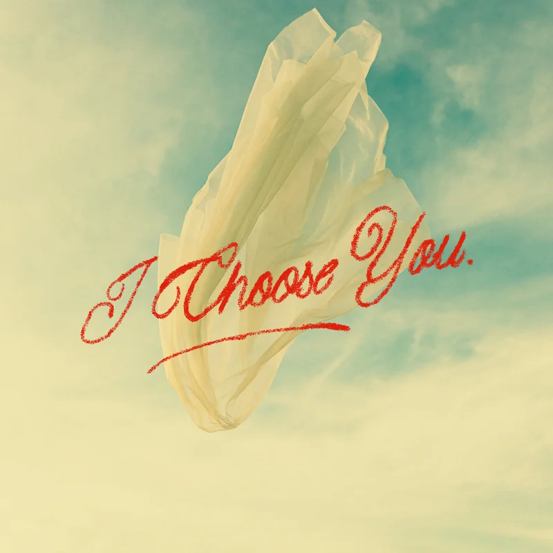 I Choose You