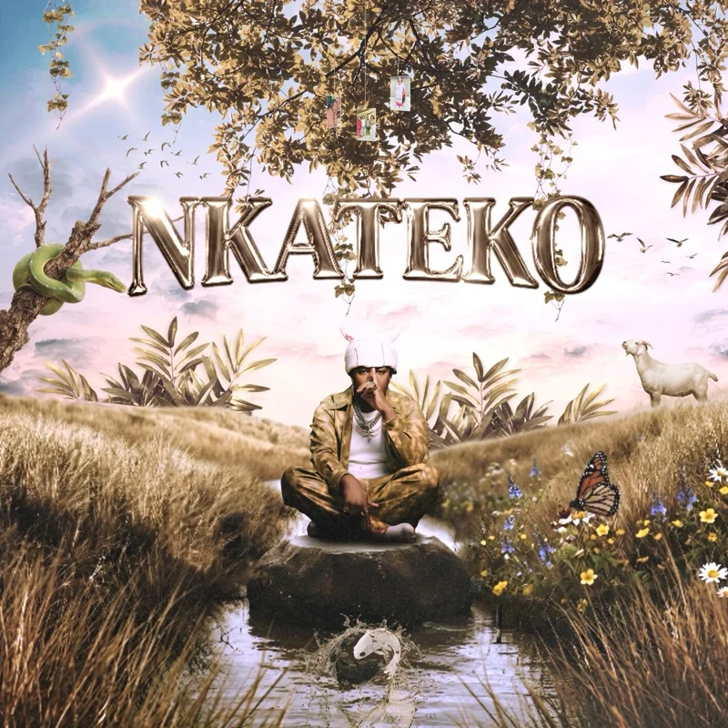 Nkateko