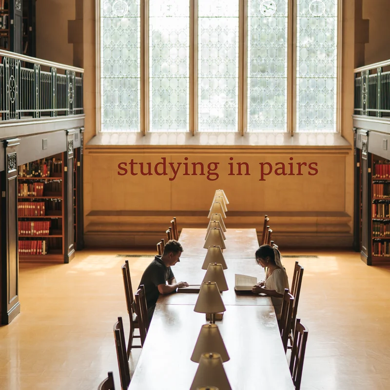 studying in pairs