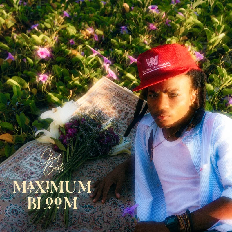 Maximum Bloom