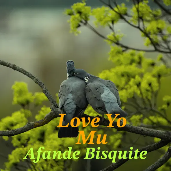 Love Yo Mu
