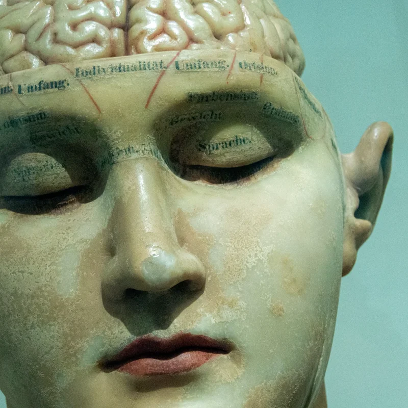 why do you still linger in my frontal lobe?