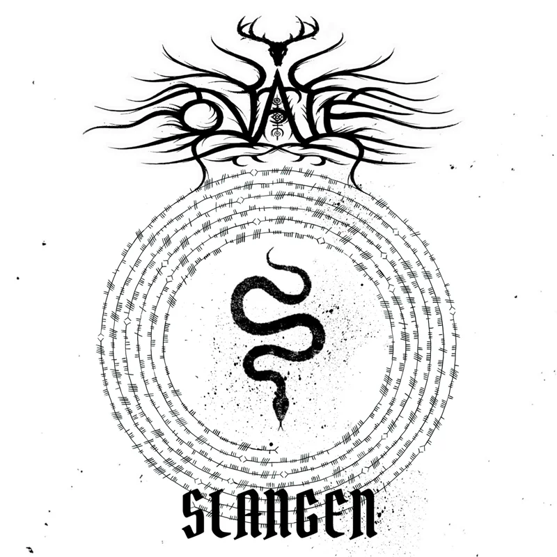 Slangen