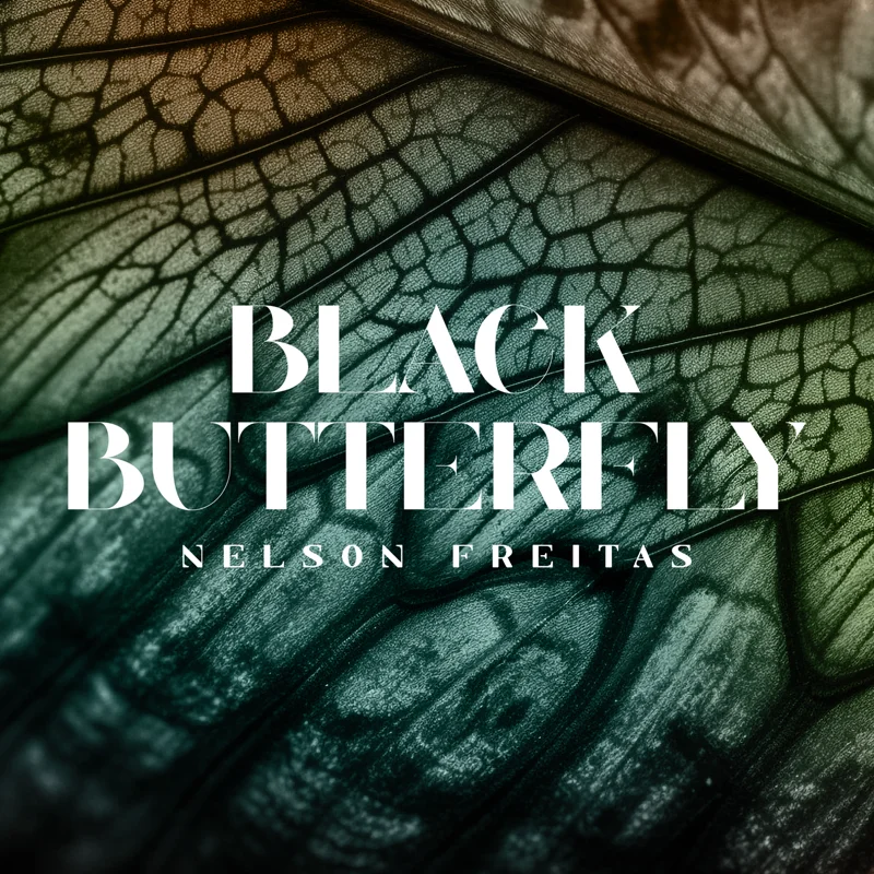 Black Butterfly