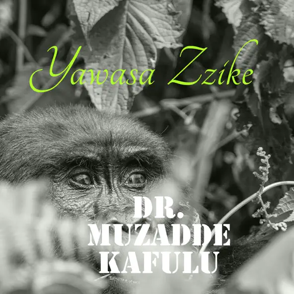 Yawasa Zzike