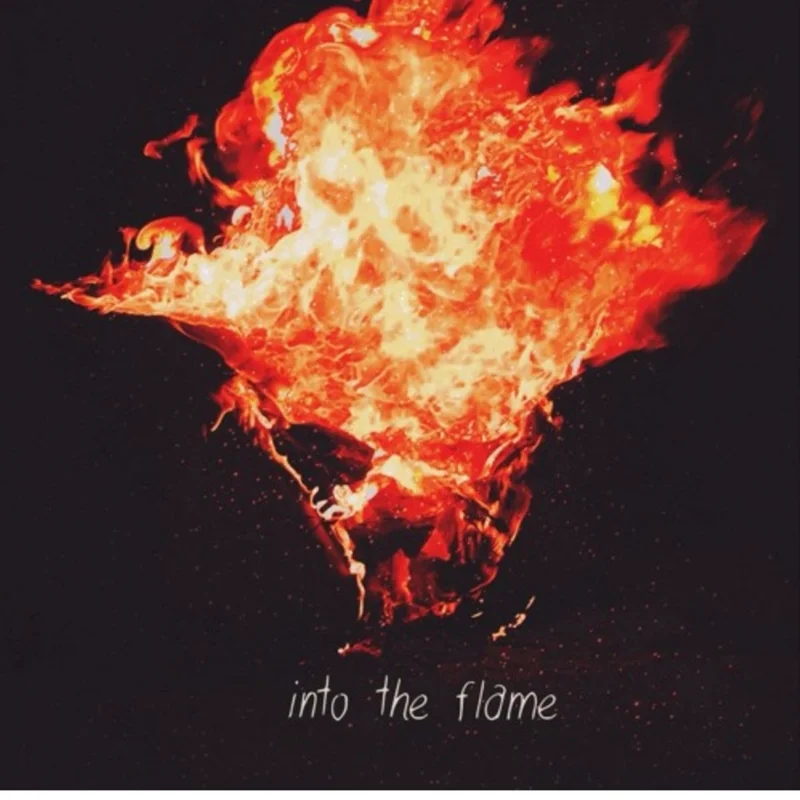 Into The Flame