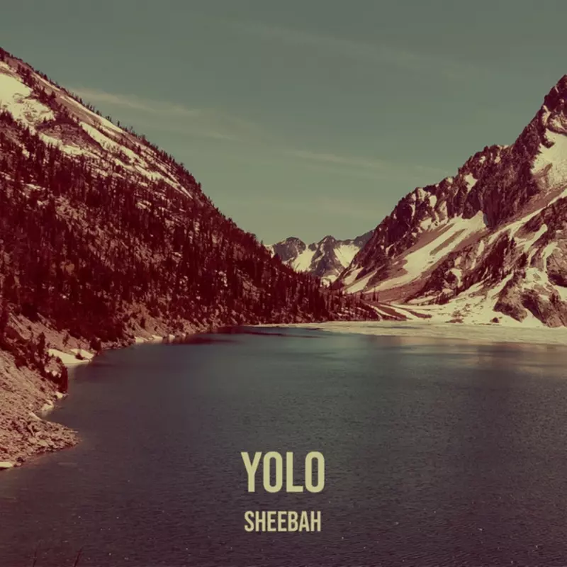 YOLO