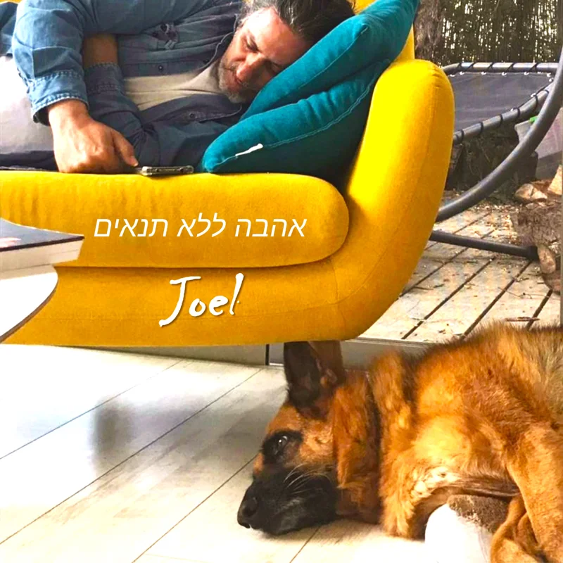 אהבה ללא תנאים