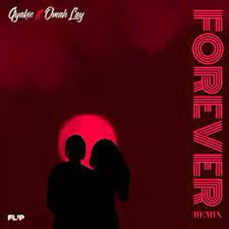 Forever - Remix